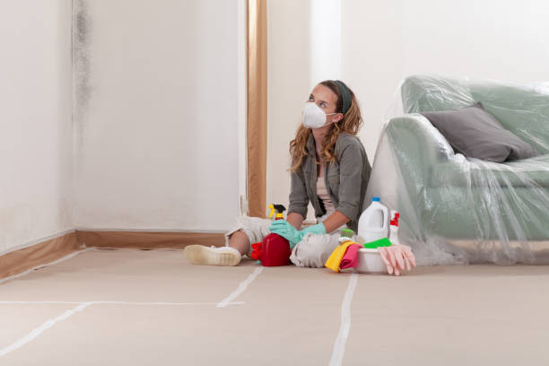 Reliable Mold Removal contractor in Henderson, NC by Car Mold Remediation
